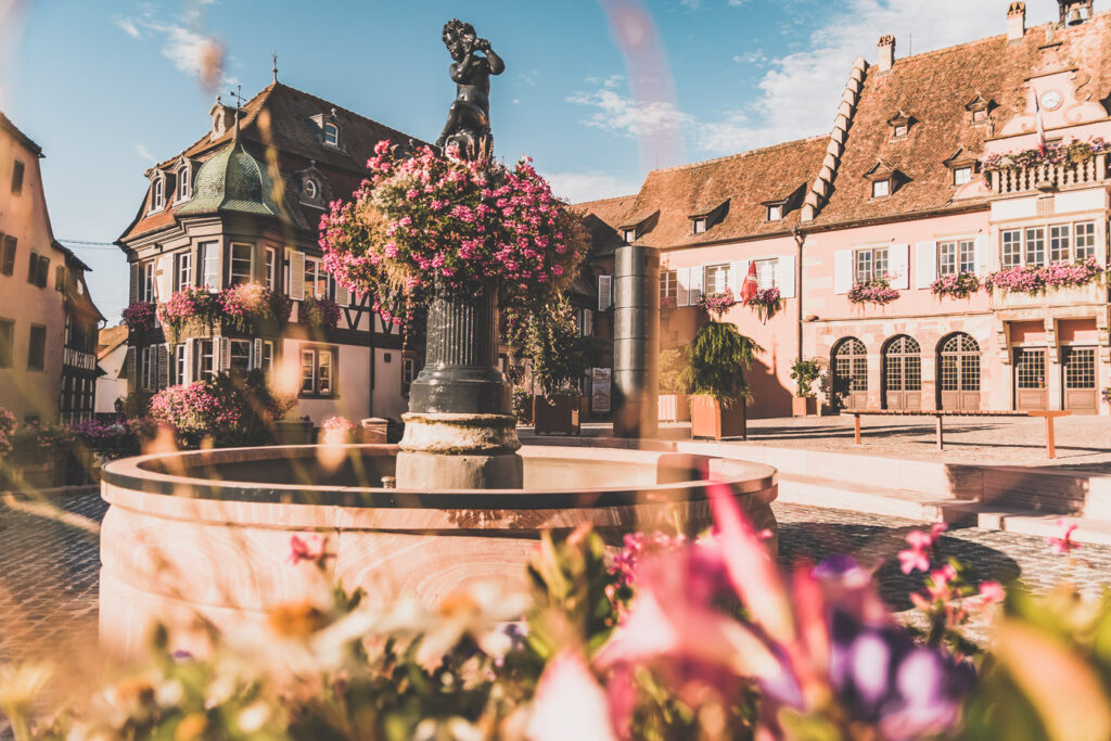 Visiter l'Alsace et les Vosges en van