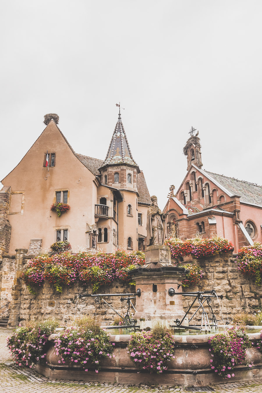 Visiter l'Alsace et les Vosges en van