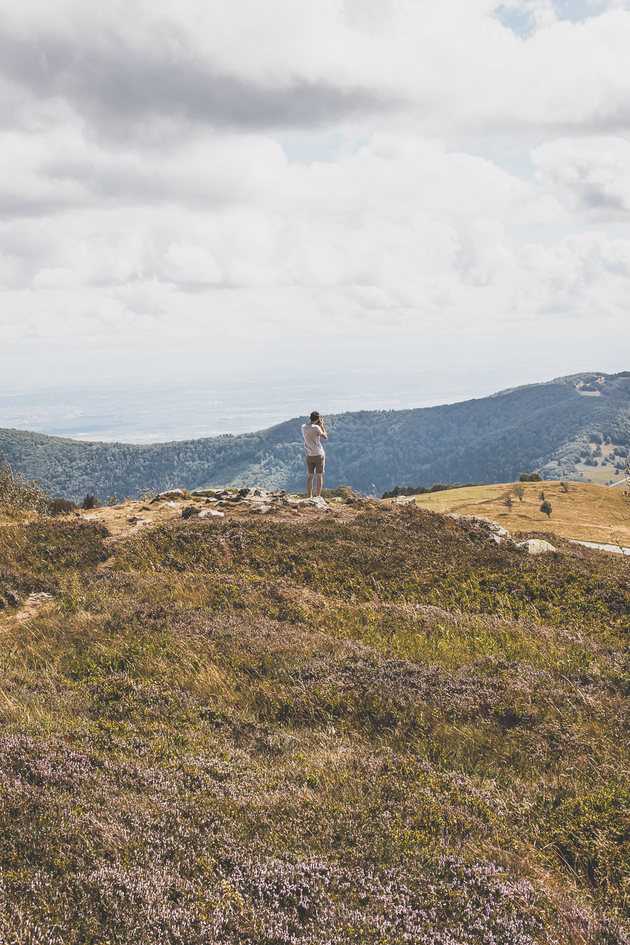 Les Vosges