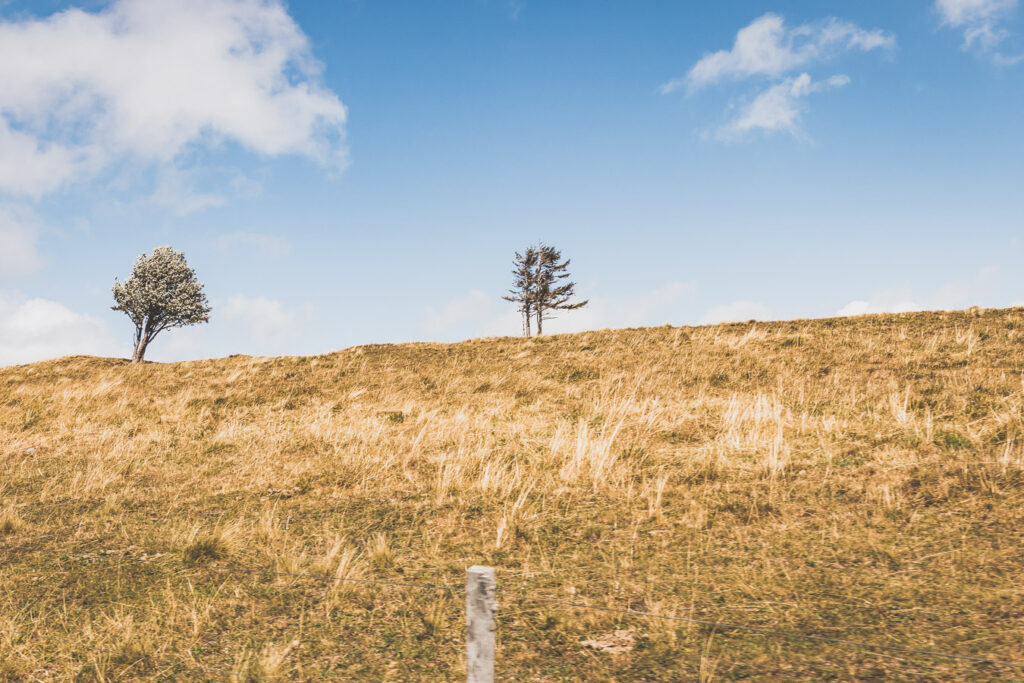 Visiter l'Alsace et les Vosges en van