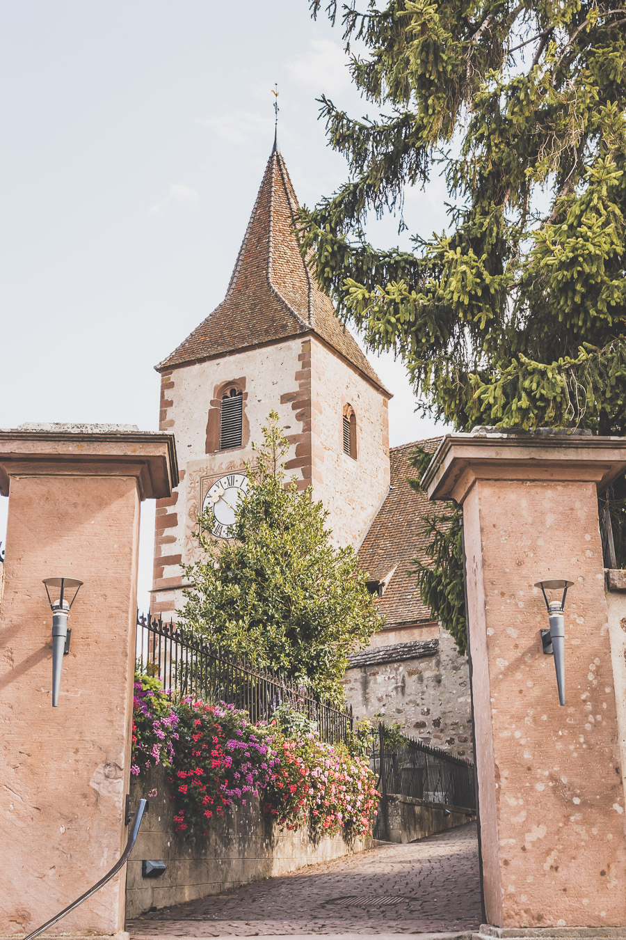 Que faire dans le Haut-Rhin ?