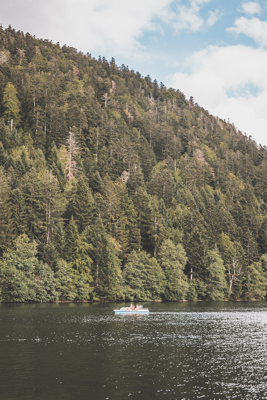 Que faire dans les Vosges ?