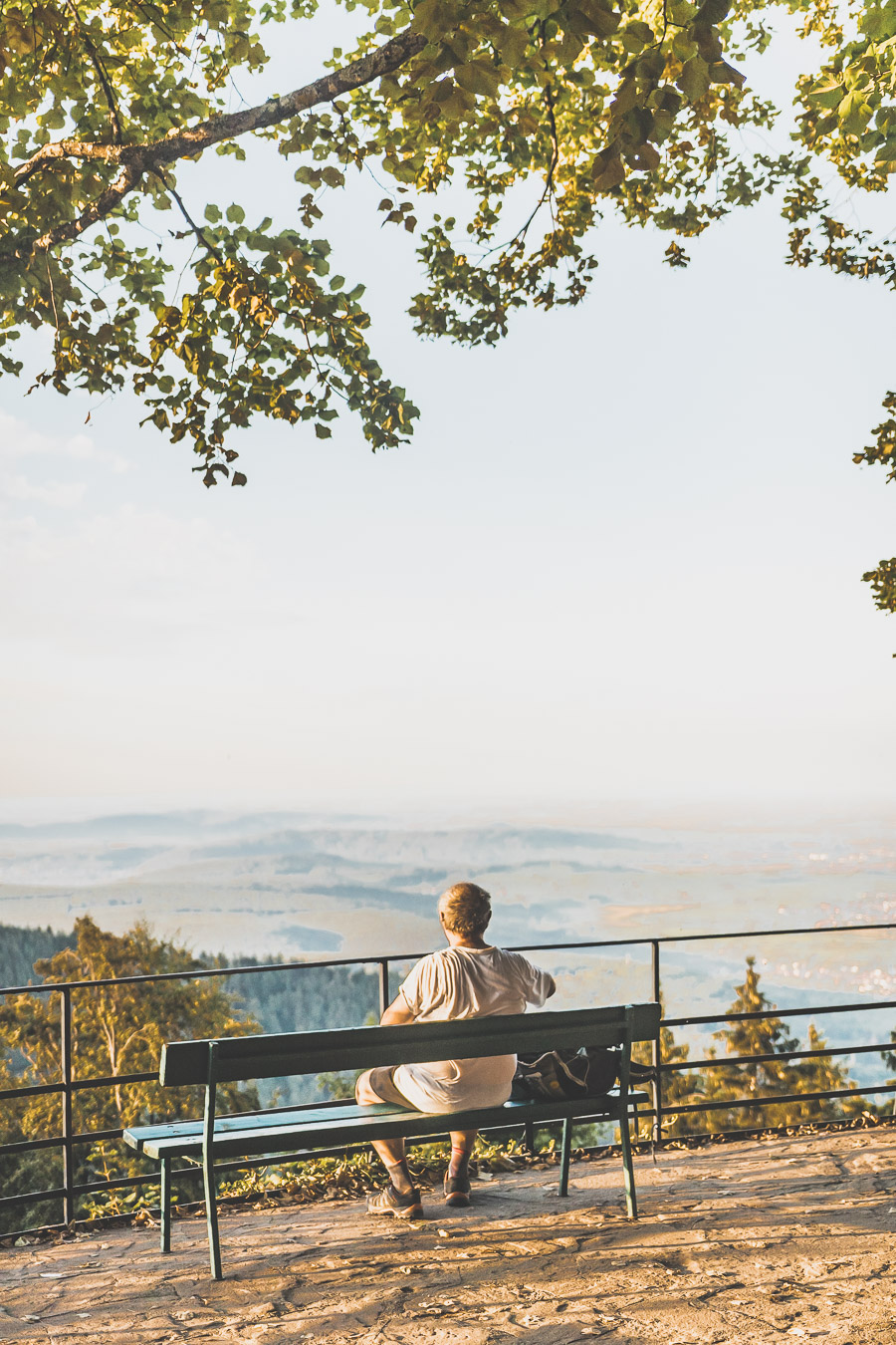 Road trip en Alsace et dans les Vosges en van