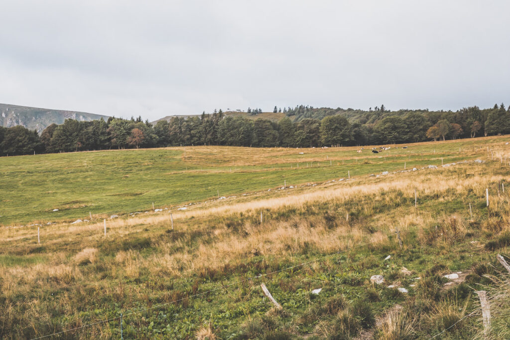 Road trip en Alsace et dans les Vosges en van