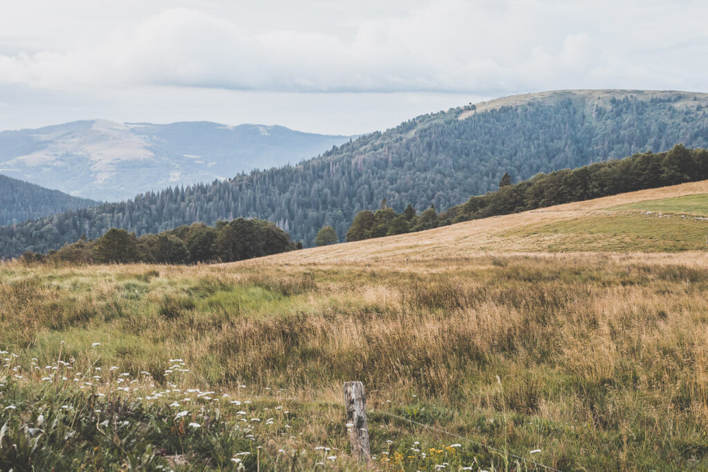 Que faire dans les Vosges ?