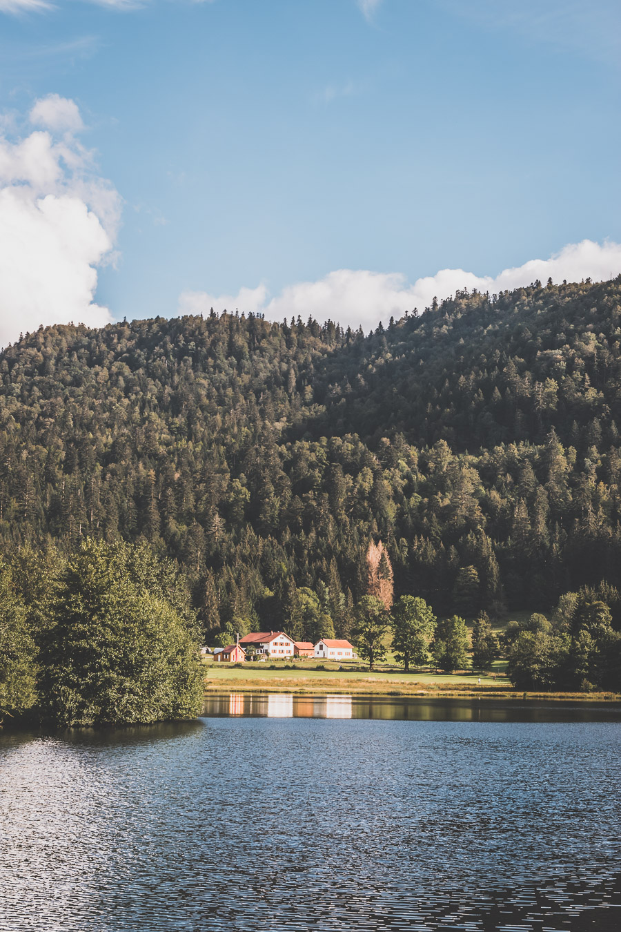 Road trip en Alsace et dans les Vosges en van