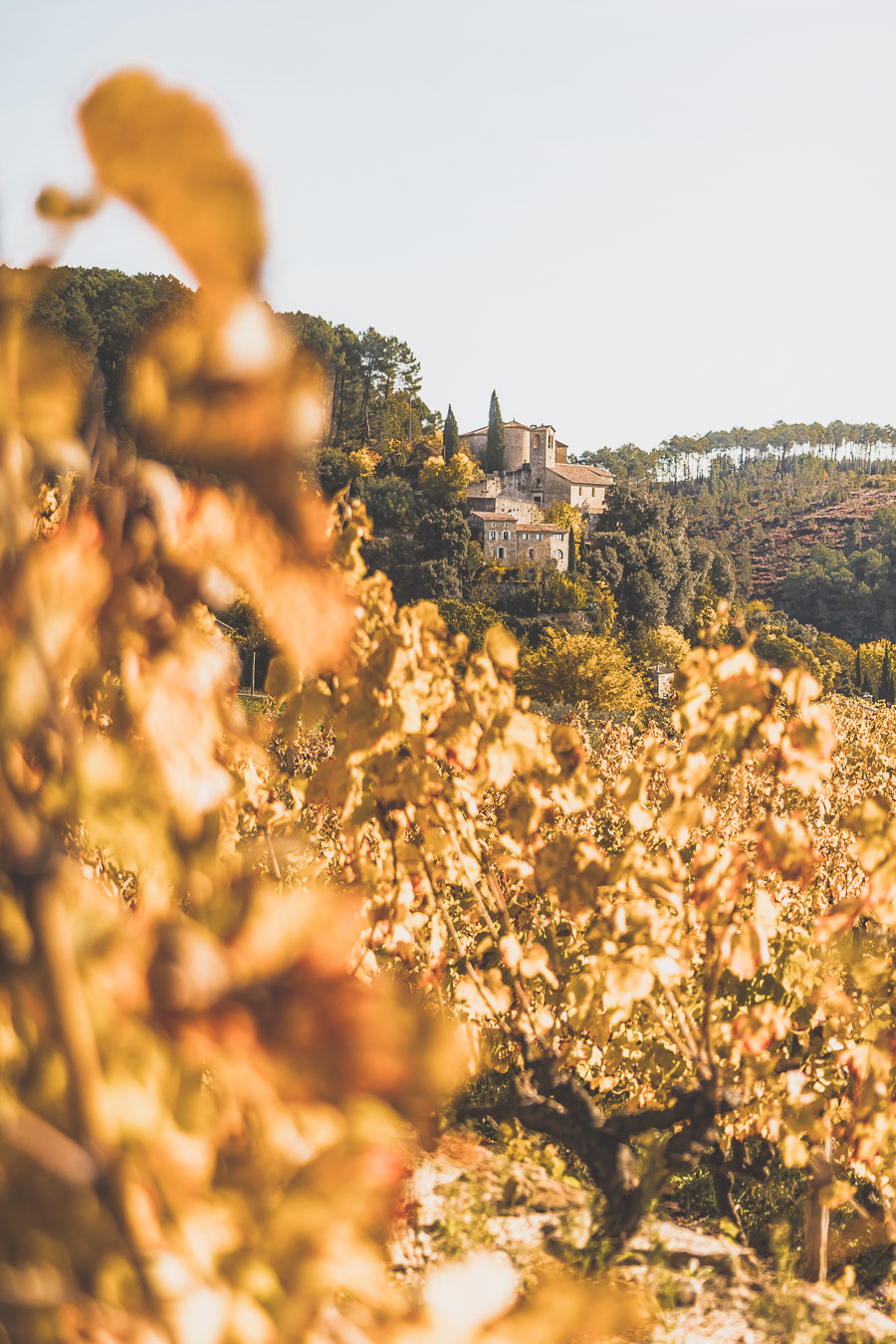 Vous vous demandez que visiter en Ardèche ? Faites un road trip en van et suivez le guide ! Ardeche france / Ardeche insolite / Ardeche frankrijk / Ardeche paysage / Ardeche camping / auvergne tourisme / Auvergne france / Auvergne rhone alpes / Auvergne-rhône-alpes / Auvergne frankrijk / Auvergne paysage / Vacances en France / Vacances plage / France paysage / Voyage en France / Voyage nature / Voyage en France / Destinations de voyages / Road trip France / Plus beaux villages de France /paysage