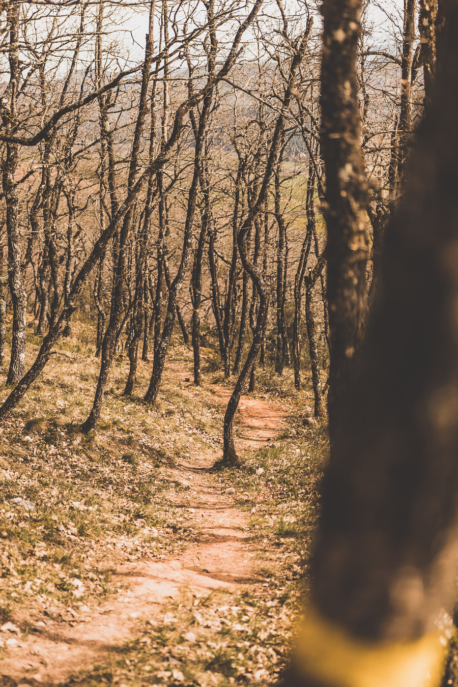 Vous vous demandez que voir en Aveyron ? Que faire en Aveyron ? Notre article est fait pour vous! Conques, Penne, La Couvertoirade, Rodez, Brousse-le-Château... sont évoqués en mots et photos #aveyron #occitanie #france #vacances / Road trip en Aveyron / Voyage en Aveyron / Découvrir l'Occitanie / Voyage en France / Vacances en France / Jolis villages / Travel in France / Voyage en Europe / Villages / Road trip en France / Village de charme / Aveyron tourisme / Aveyron France / Aveyron paysage