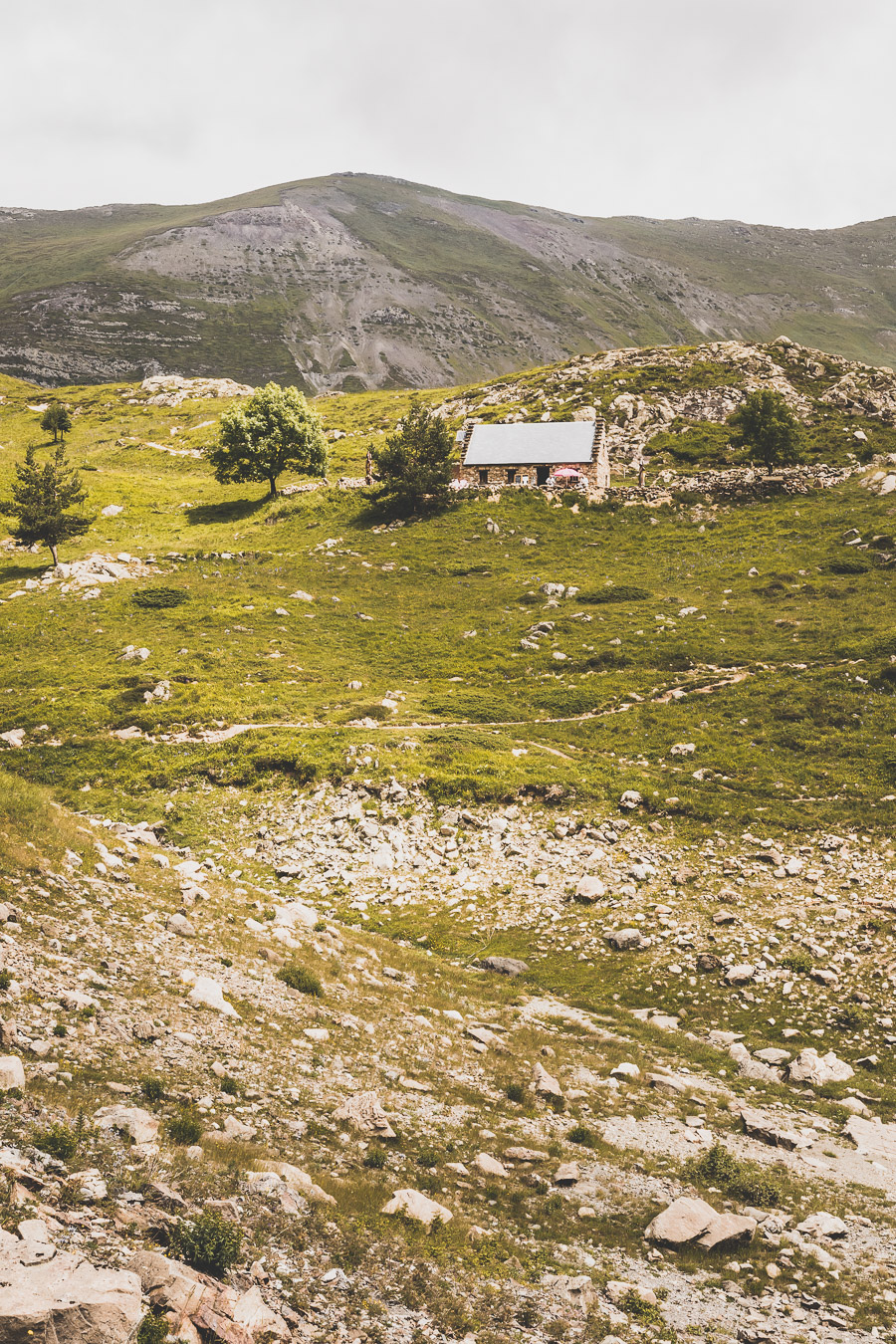 Vous voulez connaître les plus belles randonnées des Pyrénées... Suivez le guide ! Découvrir l'Occitanie / Voyage en France / Vacances en France / Travel in France / Voyage en Europe / Pyrenees moutains / Pyrenean mastiff / Pyreneeën frankrijk / pyrénées montagne / hautes pyrénées landscape / randonnée hautes pyrénées / paysage hautes pyrénées / rando hautes pyrénées / randonnée france / randonnée pyrénées / les plus belles randonnées en France / les plus belles randonnées Pyrénées / occitanie