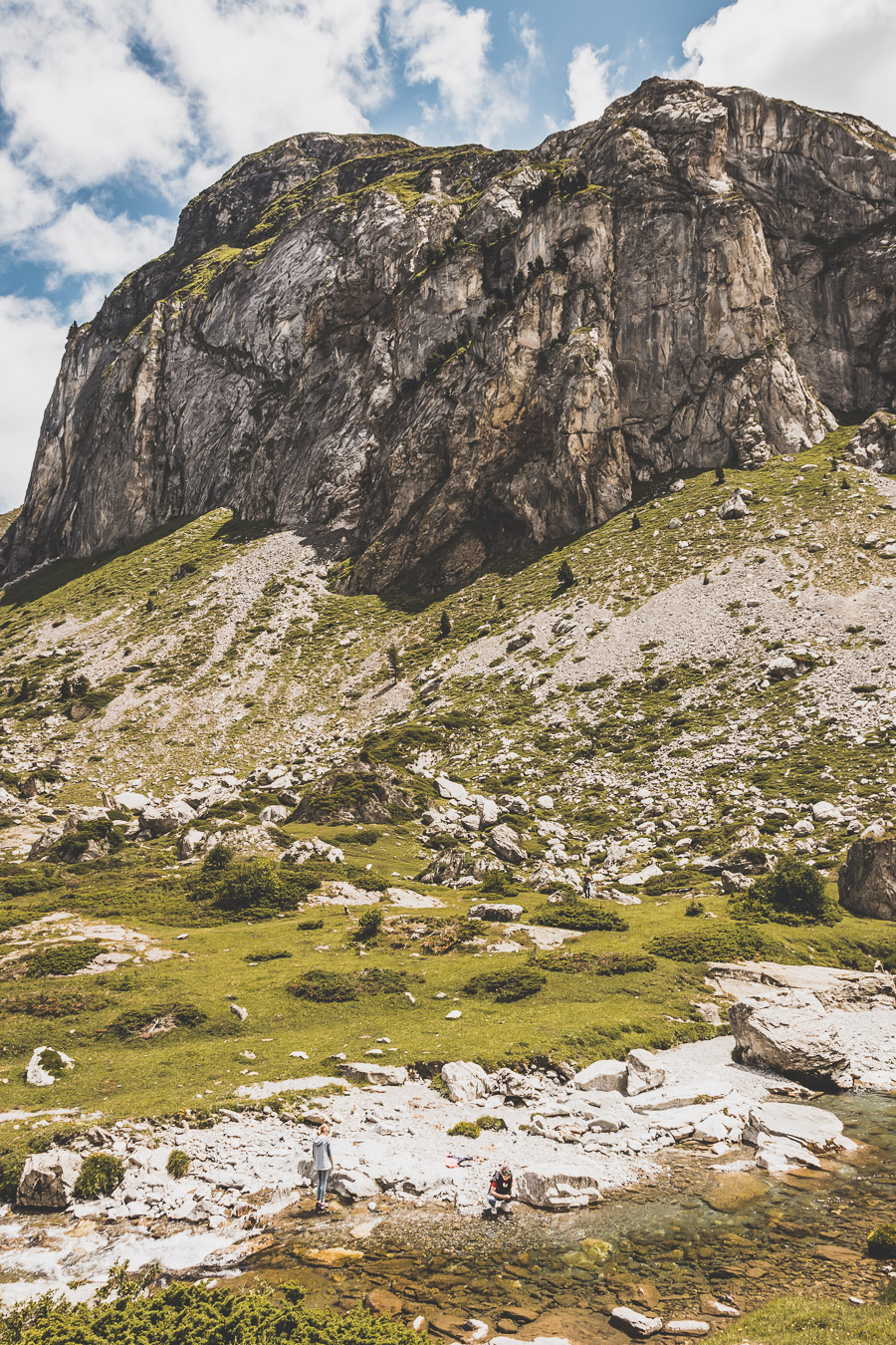 Vous voulez connaître les plus belles randonnées des Pyrénées... Suivez le guide ! Découvrir l'Occitanie / Voyage en France / Vacances en France / Travel in France / Voyage en Europe / Pyrenees moutains / Pyrenean mastiff / Pyreneeën frankrijk / pyrénées montagne / hautes pyrénées landscape / randonnée hautes pyrénées / paysage hautes pyrénées / rando hautes pyrénées / randonnée france / randonnée pyrénées / les plus belles randonnées en France / les plus belles randonnées Pyrénées / occitanie