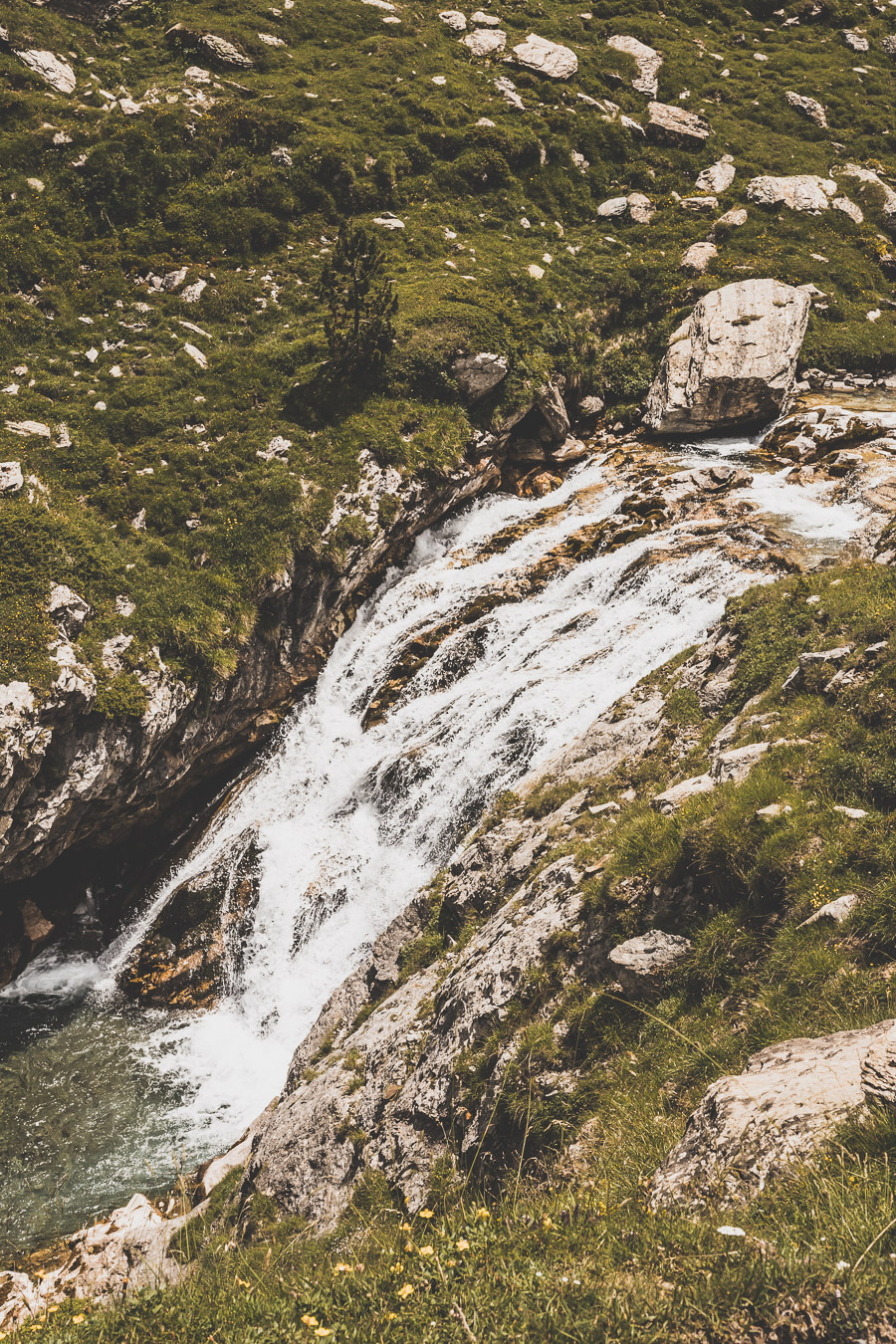 Vous voulez connaître les plus belles randonnées des Pyrénées... Suivez le guide ! Découvrir l'Occitanie / Voyage en France / Vacances en France / Travel in France / Voyage en Europe / Pyrenees moutains / Pyrenean mastiff / Pyreneeën frankrijk / pyrénées montagne / hautes pyrénées landscape / randonnée hautes pyrénées / paysage hautes pyrénées / rando hautes pyrénées / randonnée france / randonnée pyrénées / les plus belles randonnées en France / les plus belles randonnées Pyrénées / occitanie