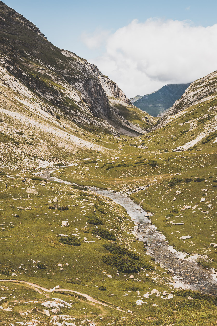 Vous voulez connaître les plus belles randonnées des Pyrénées... Suivez le guide ! Découvrir l'Occitanie / Voyage en France / Vacances en France / Travel in France / Voyage en Europe / Pyrenees moutains / Pyrenean mastiff / Pyreneeën frankrijk / pyrénées montagne / hautes pyrénées landscape / randonnée hautes pyrénées / paysage hautes pyrénées / rando hautes pyrénées / randonnée france / randonnée pyrénées / les plus belles randonnées en France / les plus belles randonnées Pyrénées / occitanie