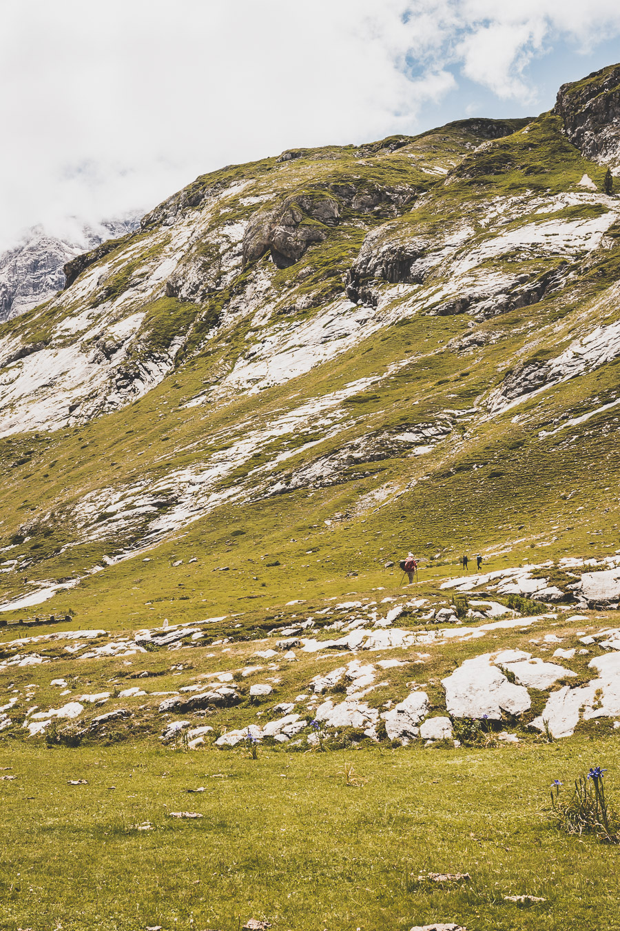 Vous voulez connaître les plus belles randonnées des Pyrénées... Suivez le guide ! Découvrir l'Occitanie / Voyage en France / Vacances en France / Travel in France / Voyage en Europe / Pyrenees moutains / Pyrenean mastiff / Pyreneeën frankrijk / pyrénées montagne / hautes pyrénées landscape / randonnée hautes pyrénées / paysage hautes pyrénées / rando hautes pyrénées / randonnée france / randonnée pyrénées / les plus belles randonnées en France / les plus belles randonnées Pyrénées / occitanie