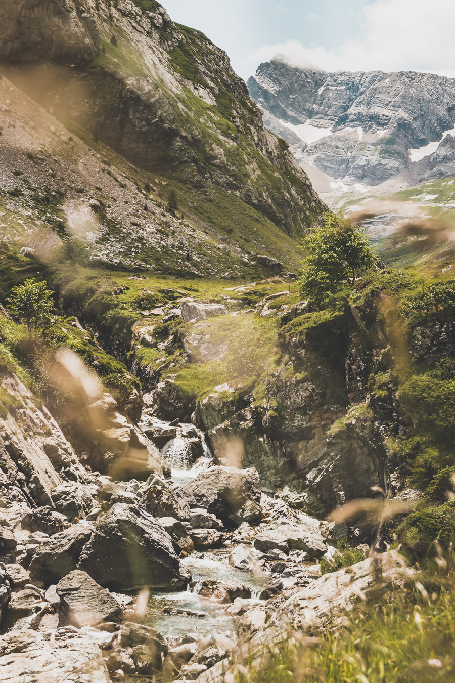 Vous voulez connaître les plus belles randonnées des Pyrénées... Suivez le guide ! Découvrir l'Occitanie / Voyage en France / Vacances en France / Travel in France / Voyage en Europe / Pyrenees moutains / Pyrenean mastiff / Pyreneeën frankrijk / pyrénées montagne / hautes pyrénées landscape / randonnée hautes pyrénées / paysage hautes pyrénées / rando hautes pyrénées / randonnée france / randonnée pyrénées / les plus belles randonnées en France / les plus belles randonnées Pyrénées / occitanie