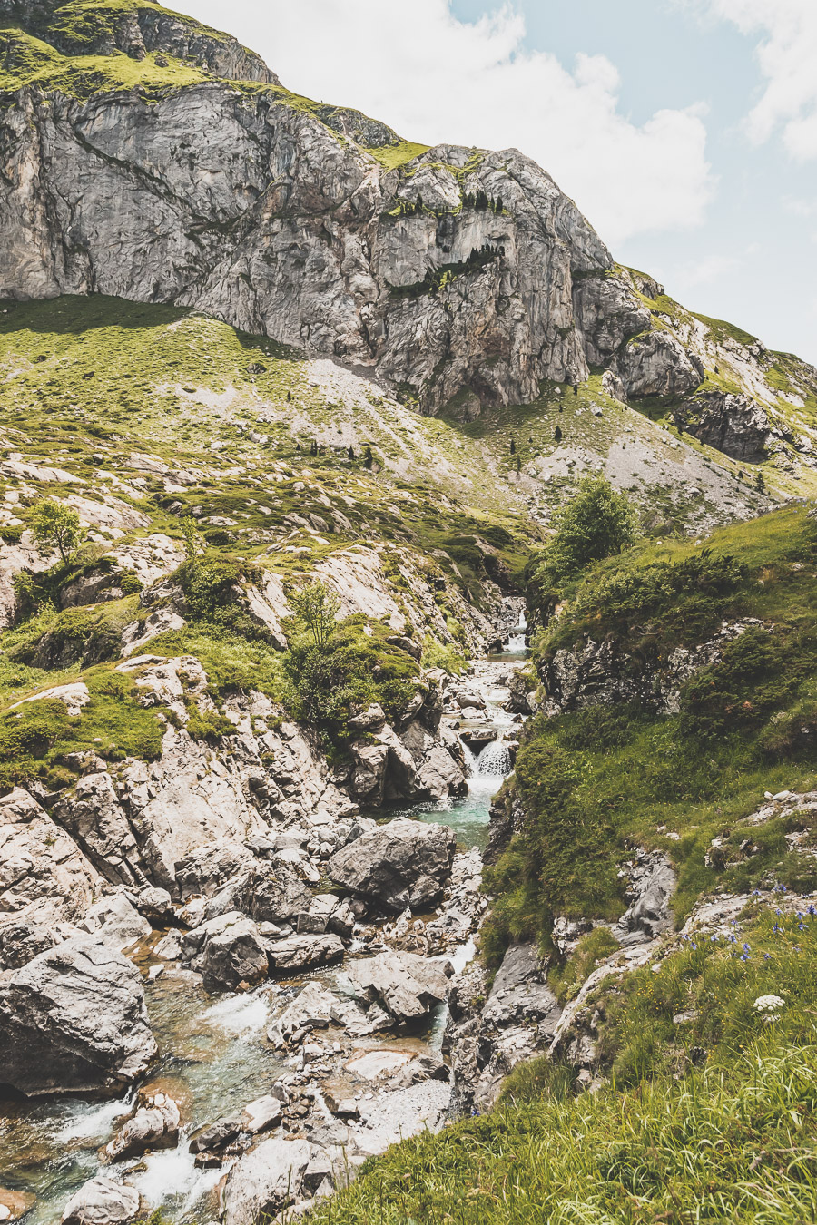 Vous voulez connaître les plus belles randonnées des Pyrénées... Suivez le guide ! Découvrir l'Occitanie / Voyage en France / Vacances en France / Travel in France / Voyage en Europe / Pyrenees moutains / Pyrenean mastiff / Pyreneeën frankrijk / pyrénées montagne / hautes pyrénées landscape / randonnée hautes pyrénées / paysage hautes pyrénées / rando hautes pyrénées / randonnée france / randonnée pyrénées / les plus belles randonnées en France / les plus belles randonnées Pyrénées / occitanie