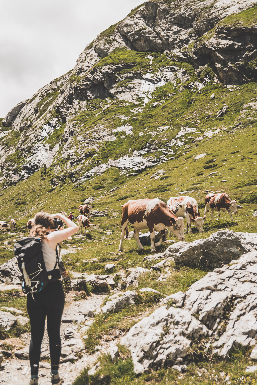 Vous voulez connaître les plus belles randonnées des Pyrénées... Suivez le guide ! Découvrir l'Occitanie / Voyage en France / Vacances en France / Travel in France / Voyage en Europe / Pyrenees moutains / Pyrenean mastiff / Pyreneeën frankrijk / pyrénées montagne / hautes pyrénées landscape / randonnée hautes pyrénées / paysage hautes pyrénées / rando hautes pyrénées / randonnée france / randonnée pyrénées / les plus belles randonnées en France / les plus belles randonnées Pyrénées / occitanie