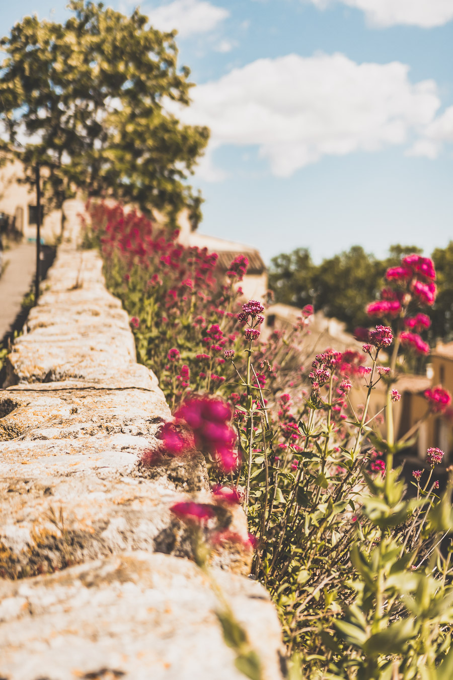 Vous vous demandez que faire dans le Vaucluse ? Faites un road trip en van et suivez le guide ! Vacances en France / Vacances plage / France paysage / Voyage en France / Voyage nature / Voyage en France / Destinations de voyages / Road trip France / Plus beaux villages de France / paysage / Vaucluse tourisme / Vaucluse france / Luberon provence / luberon visite / luberon france / provence france / provence alpes côte d'azur / alpes francaises / mont ventoux provence france / van aménagé 