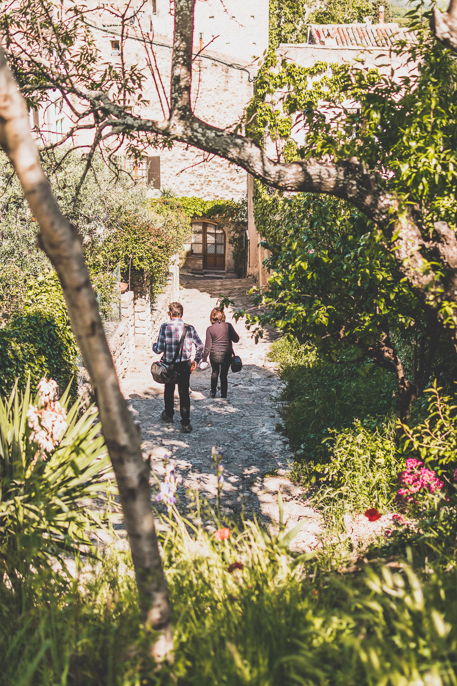 Vous vous demandez que faire dans le Vaucluse ? Faites un road trip en van et suivez le guide ! Vacances en France / Vacances plage / France paysage / Voyage en France / Voyage nature / Voyage en France / Destinations de voyages / Road trip France / Plus beaux villages de France / paysage / Vaucluse tourisme / Vaucluse france / Luberon provence / luberon visite / luberon france / provence france / provence alpes côte d'azur / alpes francaises / mont ventoux provence france / van aménagé 