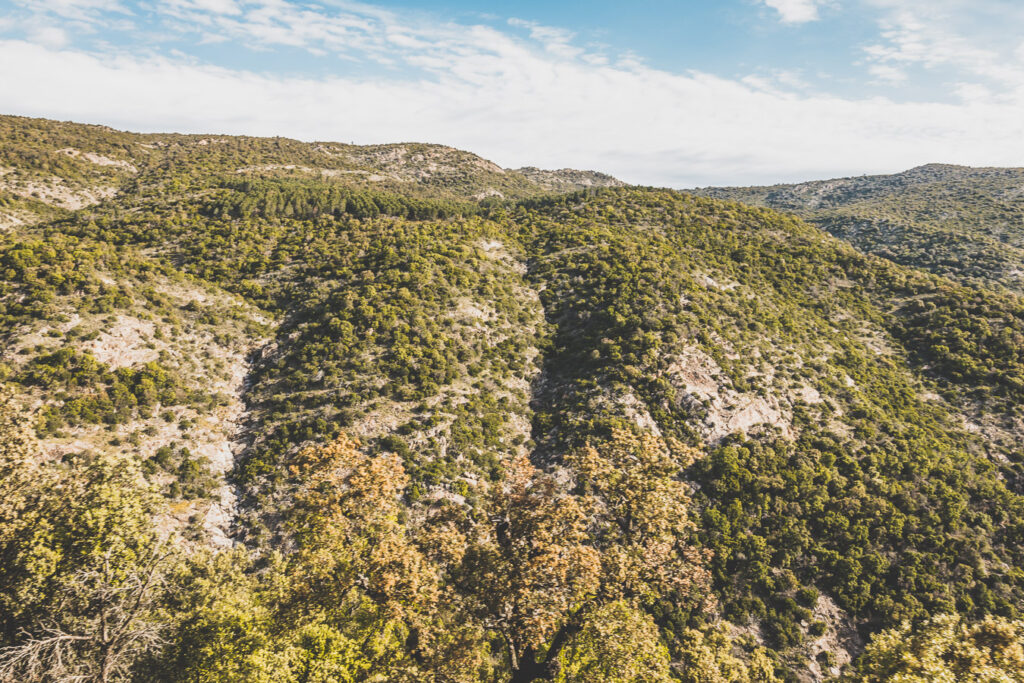 Massif des Maures