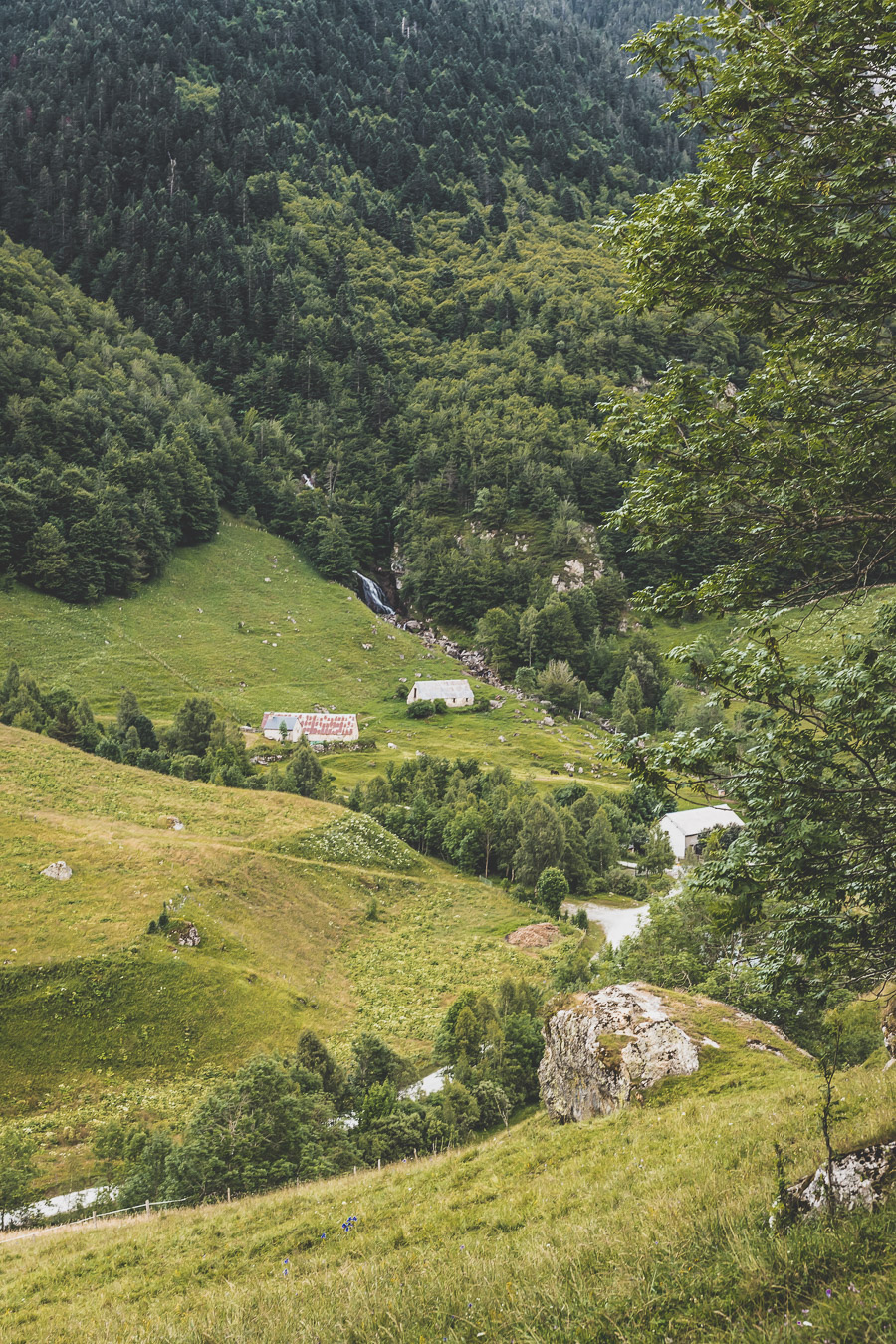 Vous voulez connaître les plus belles randonnées des Pyrénées... Suivez le guide ! Découvrir l'Occitanie / Voyage en France / Vacances en France / Travel in France / Voyage en Europe / Pyrenees moutains / Pyrenean mastiff / Pyreneeën frankrijk / pyrénées montagne / hautes pyrénées landscape / randonnée hautes pyrénées / paysage hautes pyrénées / rando hautes pyrénées / randonnée france / randonnée pyrénées / les plus belles randonnées en France / les plus belles randonnées Pyrénées / occitanie