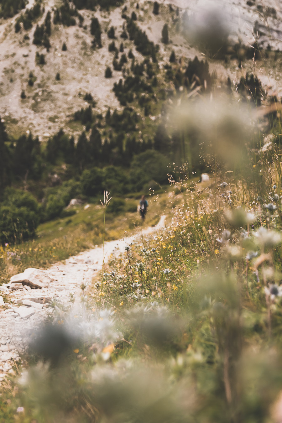 Vous voulez connaître les plus belles randonnées des Pyrénées... Suivez le guide ! Découvrir l'Occitanie / Voyage en France / Vacances en France / Travel in France / Voyage en Europe / Pyrenees moutains / Pyrenean mastiff / Pyreneeën frankrijk / pyrénées montagne / hautes pyrénées landscape / randonnée hautes pyrénées / paysage hautes pyrénées / rando hautes pyrénées / randonnée france / randonnée pyrénées / les plus belles randonnées en France / les plus belles randonnées Pyrénées / occitanie