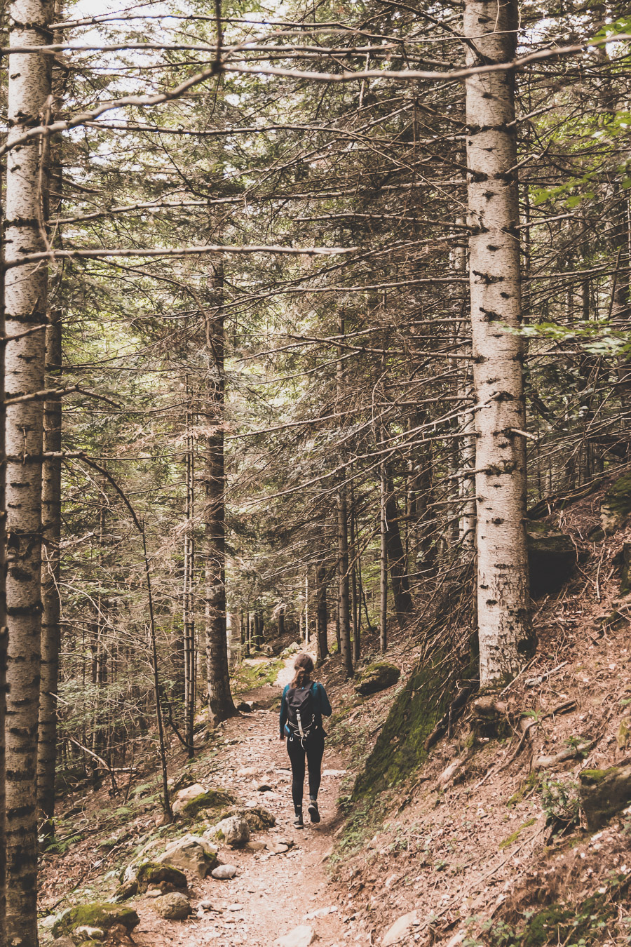 Vous voulez connaître les plus belles randonnées des Pyrénées... Suivez le guide ! Découvrir l'Occitanie / Voyage en France / Vacances en France / Travel in France / Voyage en Europe / Pyrenees moutains / Pyrenean mastiff / Pyreneeën frankrijk / pyrénées montagne / hautes pyrénées landscape / randonnée hautes pyrénées / paysage hautes pyrénées / rando hautes pyrénées / randonnée france / randonnée pyrénées / les plus belles randonnées en France / les plus belles randonnées Pyrénées / occitanie