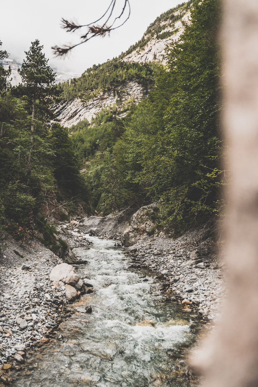 Vous voulez connaître les plus belles randonnées des Pyrénées... Suivez le guide ! Découvrir l'Occitanie / Voyage en France / Vacances en France / Travel in France / Voyage en Europe / Pyrenees moutains / Pyrenean mastiff / Pyreneeën frankrijk / pyrénées montagne / hautes pyrénées landscape / randonnée hautes pyrénées / paysage hautes pyrénées / rando hautes pyrénées / randonnée france / randonnée pyrénées / les plus belles randonnées en France / les plus belles randonnées Pyrénées / occitanie