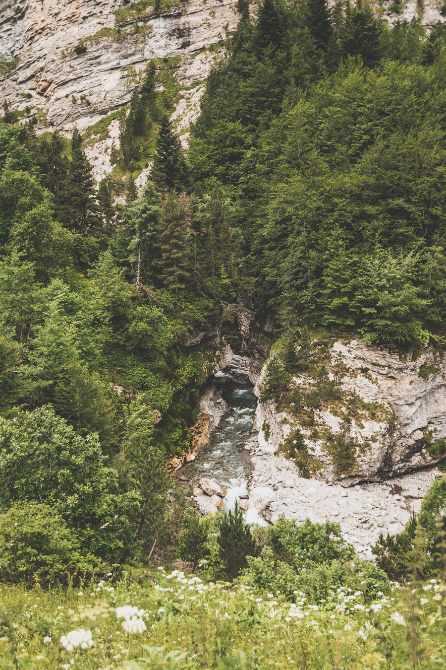 Vous voulez connaître les plus belles randonnées des Pyrénées... Suivez le guide ! Découvrir l'Occitanie / Voyage en France / Vacances en France / Travel in France / Voyage en Europe / Pyrenees moutains / Pyrenean mastiff / Pyreneeën frankrijk / pyrénées montagne / hautes pyrénées landscape / randonnée hautes pyrénées / paysage hautes pyrénées / rando hautes pyrénées / randonnée france / randonnée pyrénées / les plus belles randonnées en France / les plus belles randonnées Pyrénées / occitanie