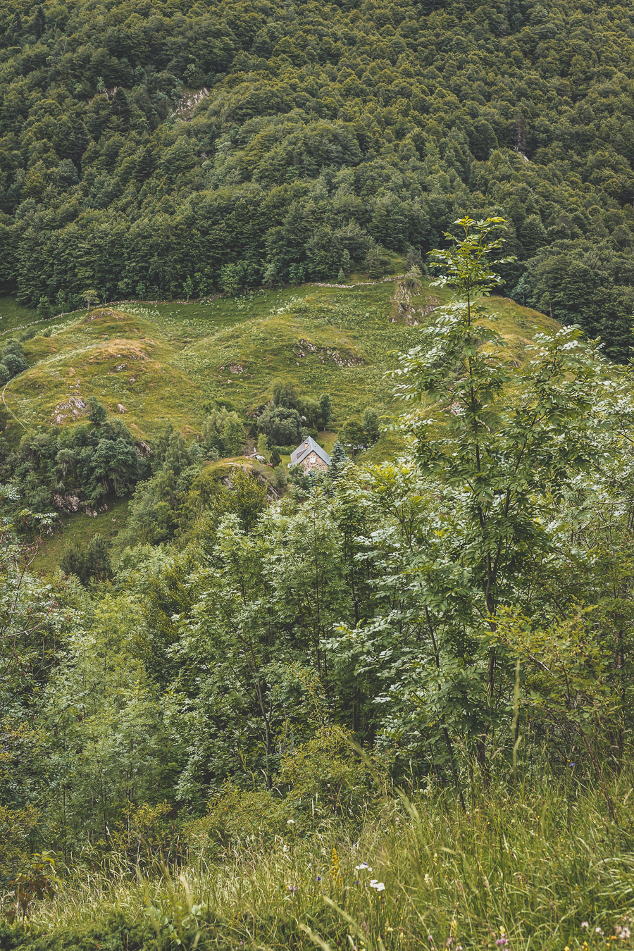 Vous voulez connaître les plus belles randonnées des Pyrénées... Suivez le guide ! Découvrir l'Occitanie / Voyage en France / Vacances en France / Travel in France / Voyage en Europe / Pyrenees moutains / Pyrenean mastiff / Pyreneeën frankrijk / pyrénées montagne / hautes pyrénées landscape / randonnée hautes pyrénées / paysage hautes pyrénées / rando hautes pyrénées / randonnée france / randonnée pyrénées / les plus belles randonnées en France / les plus belles randonnées Pyrénées / occitanie