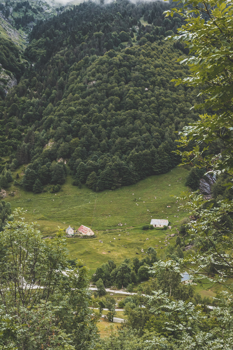 Vous voulez connaître les plus belles randonnées des Pyrénées... Suivez le guide ! Découvrir l'Occitanie / Voyage en France / Vacances en France / Travel in France / Voyage en Europe / Pyrenees moutains / Pyrenean mastiff / Pyreneeën frankrijk / pyrénées montagne / hautes pyrénées landscape / randonnée hautes pyrénées / paysage hautes pyrénées / rando hautes pyrénées / randonnée france / randonnée pyrénées / les plus belles randonnées en France / les plus belles randonnées Pyrénées / occitanie