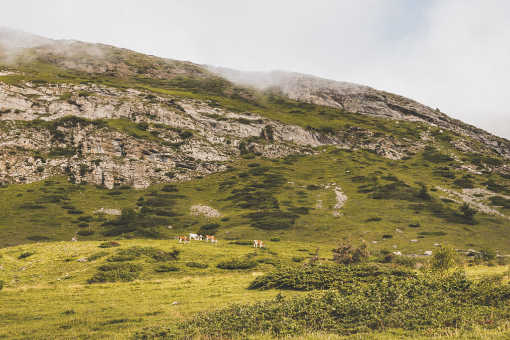 Cirque de Gavarnie