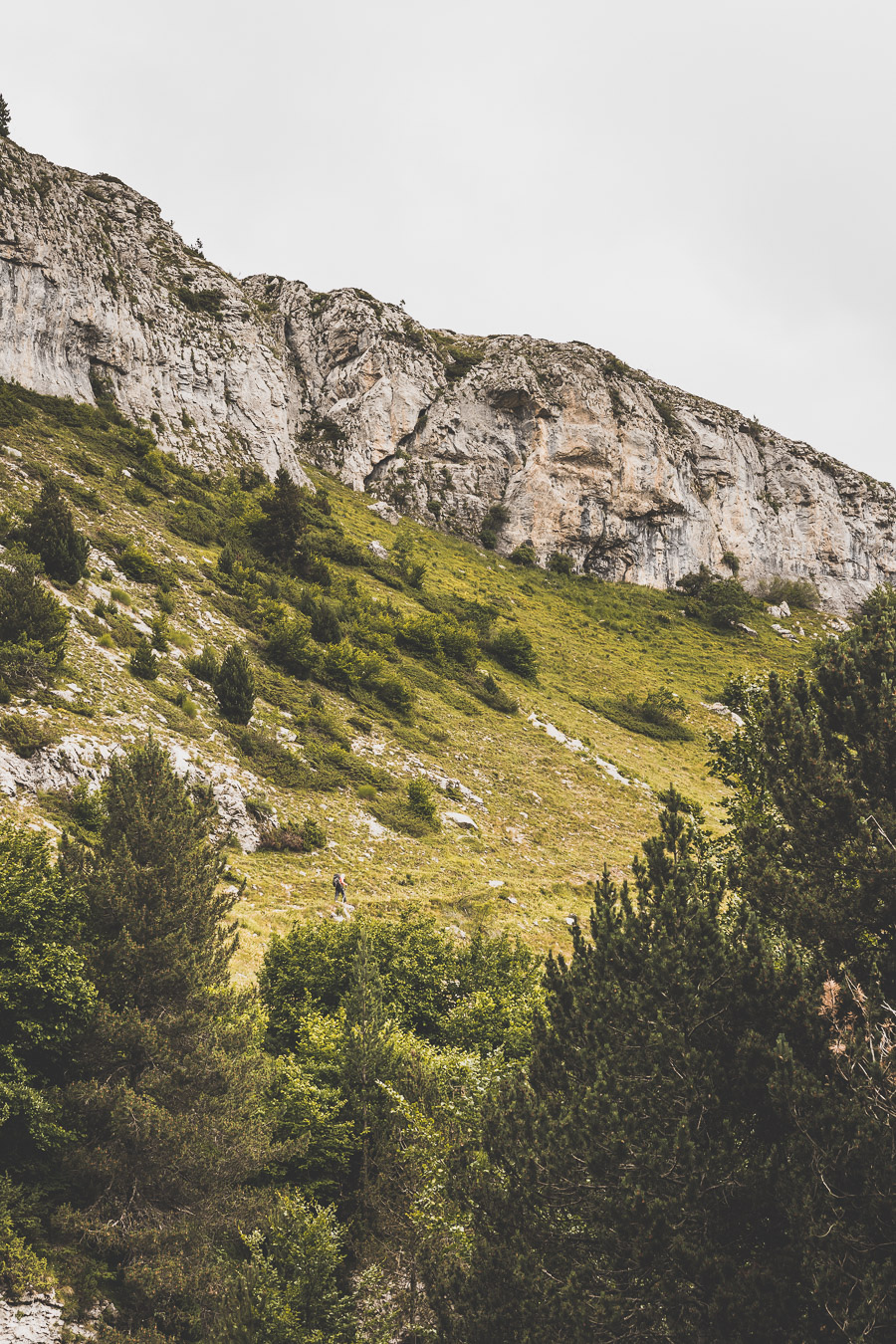 Vous voulez connaître les plus belles randonnées des Pyrénées... Suivez le guide ! Découvrir l'Occitanie / Voyage en France / Vacances en France / Travel in France / Voyage en Europe / Pyrenees moutains / Pyrenean mastiff / Pyreneeën frankrijk / pyrénées montagne / hautes pyrénées landscape / randonnée hautes pyrénées / paysage hautes pyrénées / rando hautes pyrénées / randonnée france / randonnée pyrénées / les plus belles randonnées en France / les plus belles randonnées Pyrénées / occitanie