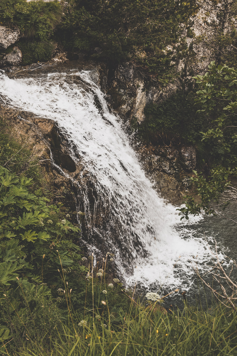 Vous voulez connaître les plus belles randonnées des Pyrénées... Suivez le guide ! Découvrir l'Occitanie / Voyage en France / Vacances en France / Travel in France / Voyage en Europe / Pyrenees moutains / Pyrenean mastiff / Pyreneeën frankrijk / pyrénées montagne / hautes pyrénées landscape / randonnée hautes pyrénées / paysage hautes pyrénées / rando hautes pyrénées / randonnée france / randonnée pyrénées / les plus belles randonnées en France / les plus belles randonnées Pyrénées / occitanie