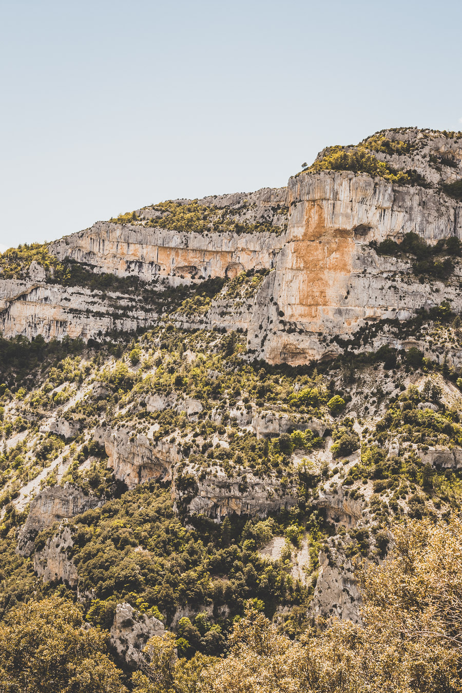 Gorges de la Nesque