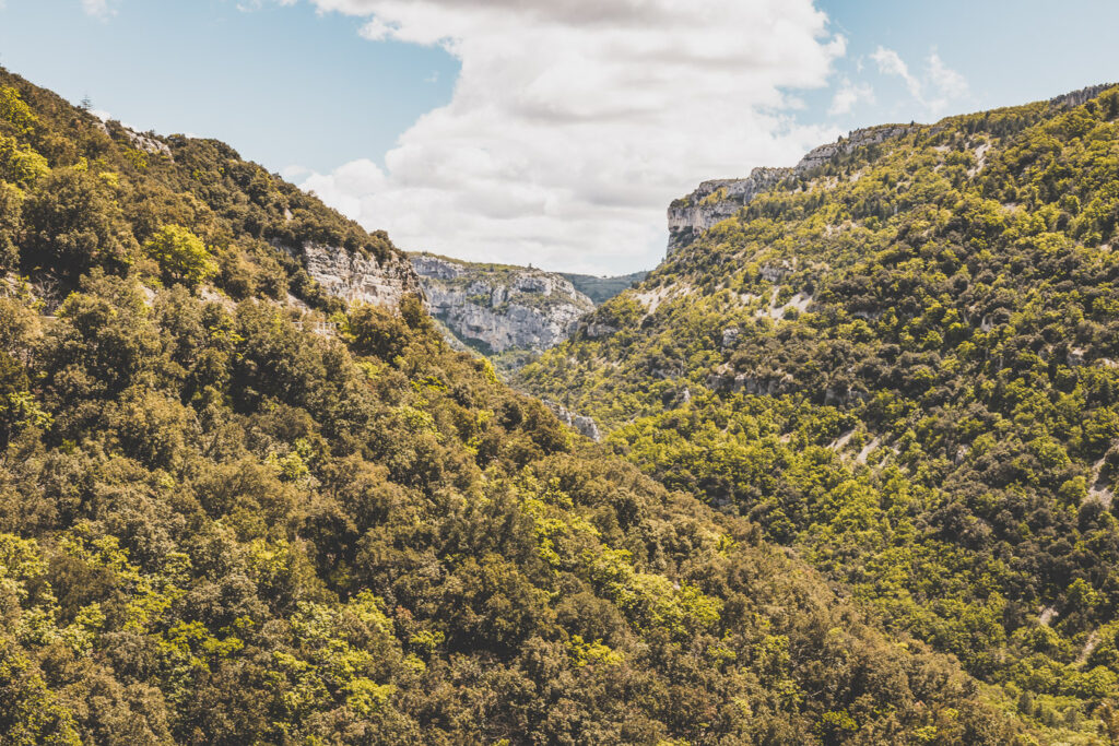 Gorges de la Nesque