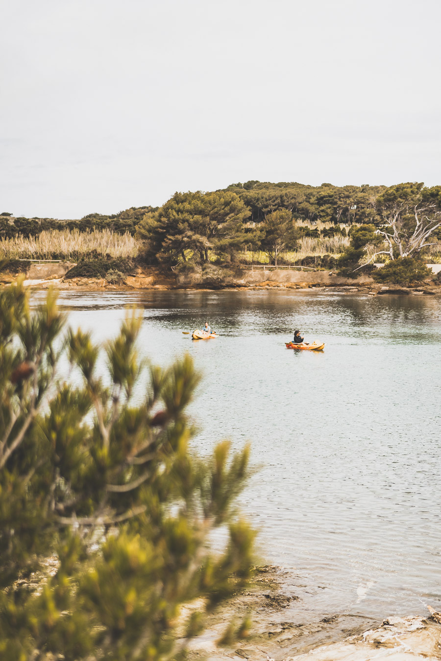 Vous vous demandez que visiter dans le Var ? Faites un road trip en van et suivez le guide ! Vacances en France / Vacances plage / France paysage / Voyage en France / Voyage nature / Voyage en France / Destinations de voyages / Road trip France / Plus beaux villages de France / paysage / provence france / provence alpes côte d'azur / alpes francaises / mont ventoux provence france / van aménagé / Var France / Var tourisme / Var paysage / Var tourisme / French riviera / roadtrip dans le var