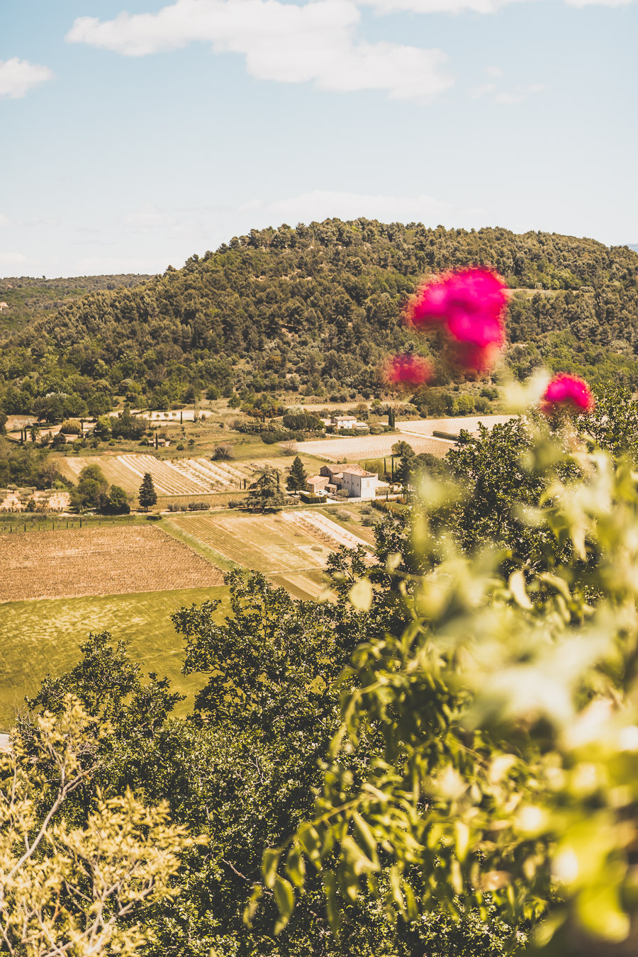 Vous vous demandez que faire dans le Vaucluse ? Faites un road trip en van et suivez le guide ! Vacances en France / Vacances plage / France paysage / Voyage en France / Voyage nature / Voyage en France / Destinations de voyages / Road trip France / Plus beaux villages de France / paysage / Vaucluse tourisme / Vaucluse france / Luberon provence / luberon visite / luberon france / provence france / provence alpes côte d'azur / alpes francaises / mont ventoux provence france / van aménagé 