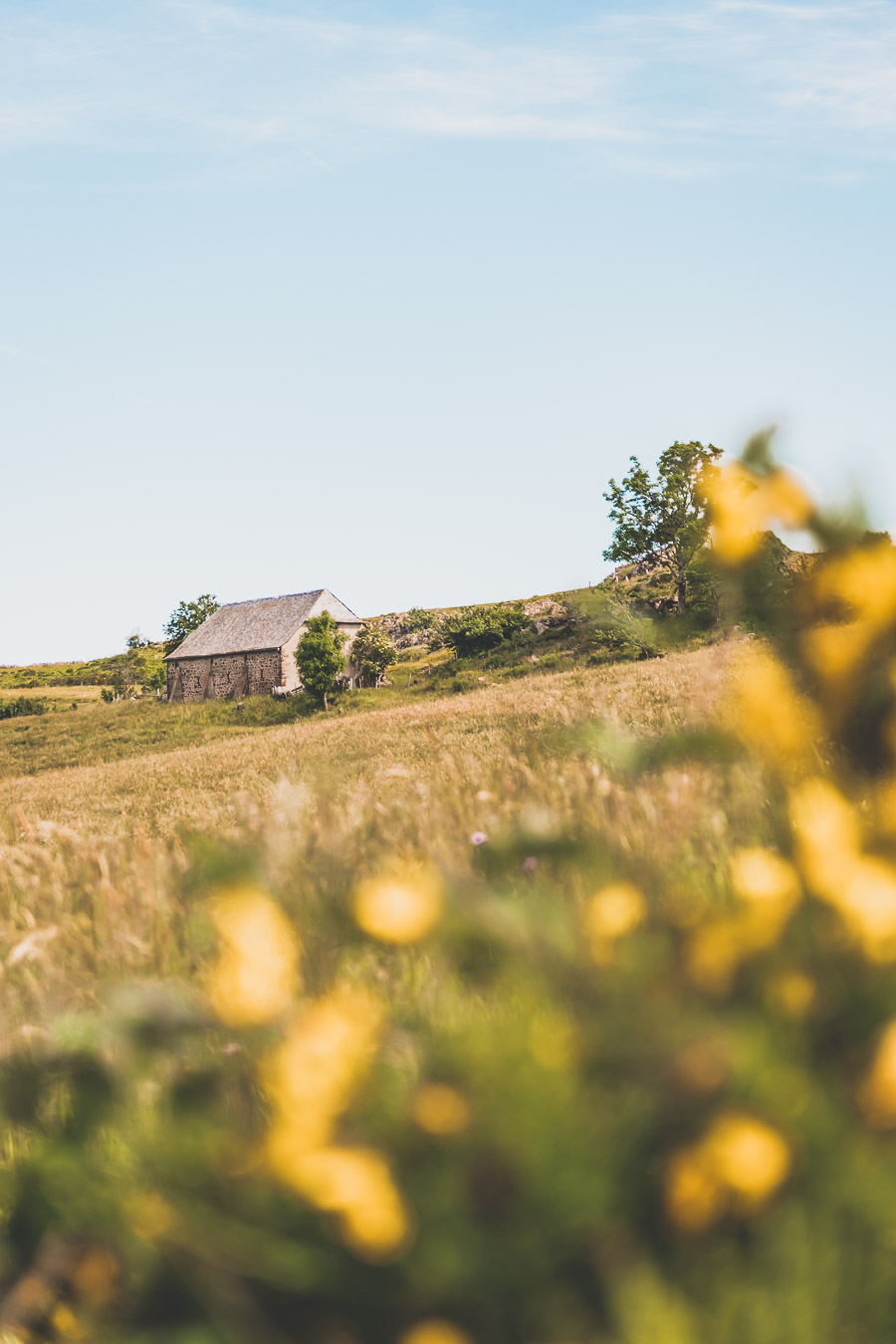 Randonnée sur l'Aubrac