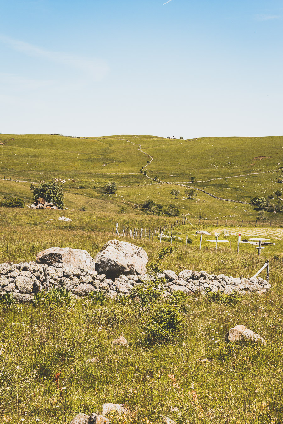 Randonnée sur l'Aubrac