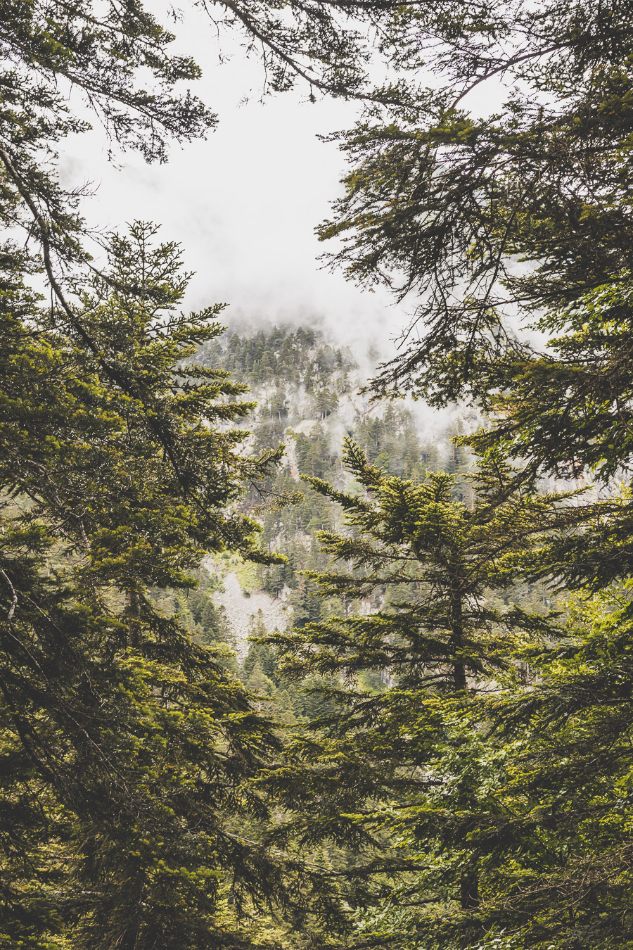 Lac de Gaube