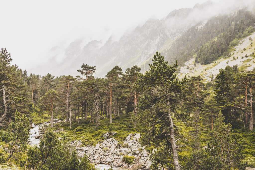 Lac de Gaube