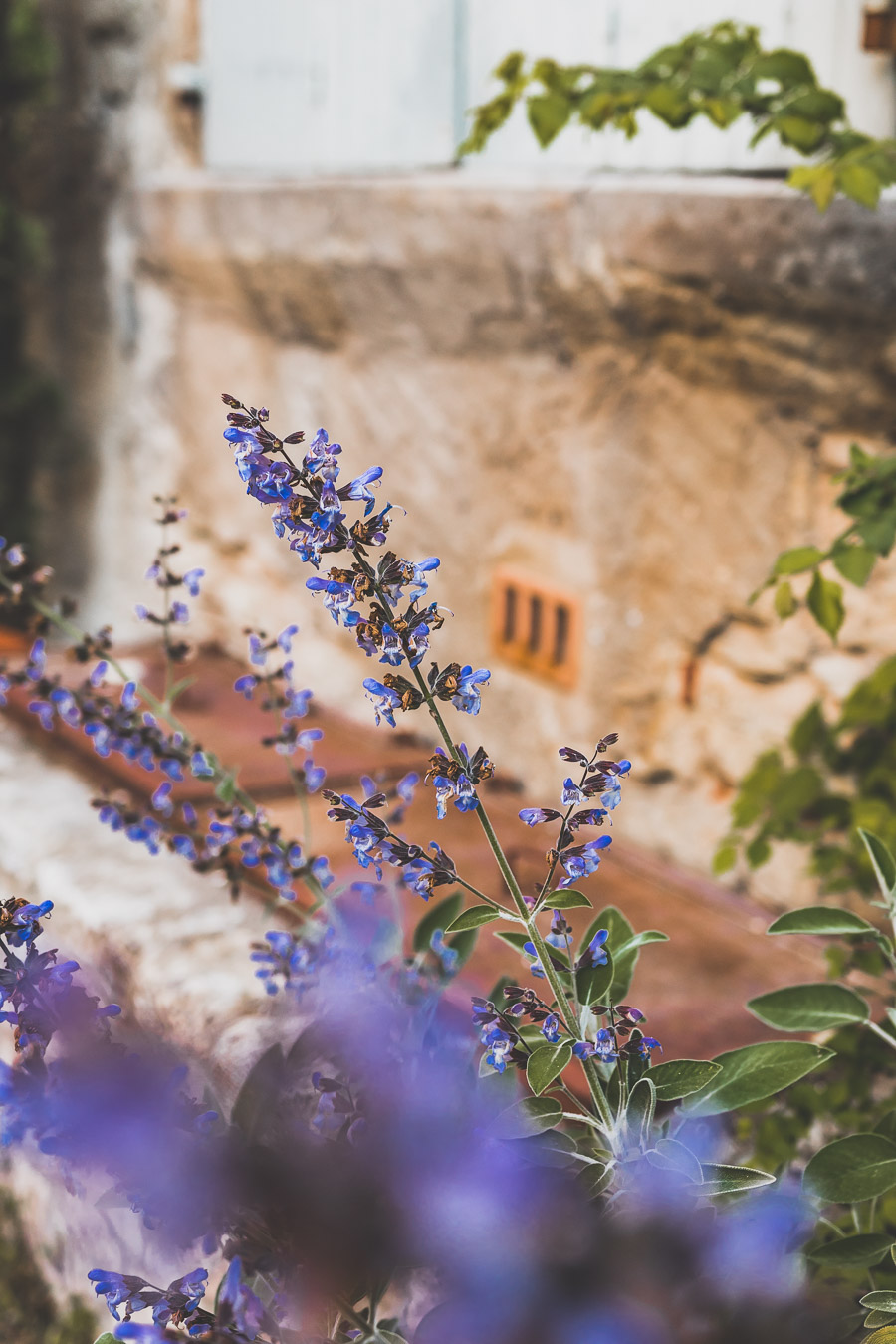 Vous vous demandez que faire dans le Vaucluse ? Faites un road trip en van et suivez le guide ! Vacances en France / Vacances plage / France paysage / Voyage en France / Voyage nature / Voyage en France / Destinations de voyages / Road trip France / Plus beaux villages de France / paysage / Vaucluse tourisme / Vaucluse france / Luberon provence / luberon visite / luberon france / provence france / provence alpes côte d'azur / alpes francaises / mont ventoux provence france / van aménagé 