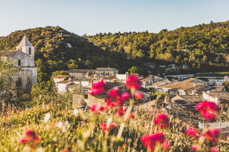Que faire dans le Vaucluse Que faire dans le Vaucluse