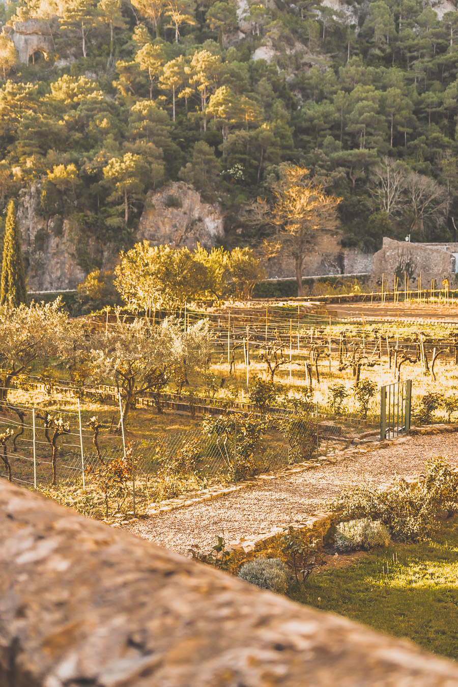 Que visiter dans l'Hérault ? Suivez le guide ! Découvrir l'Occitanie / Voyage en France / Vacances en France / Travel in France / Voyage en Europe / les plus belles randonnées en France / occitanie france / occitanie tourisme / herault tourisme / herault france / languedoc france / languedoc roussillon / languedoc roussillon travel / languedoc roussillon beach / parc naturel régional du haut languedoc / villages in france / beaux villages de france / beaux villages occitanie / Europe