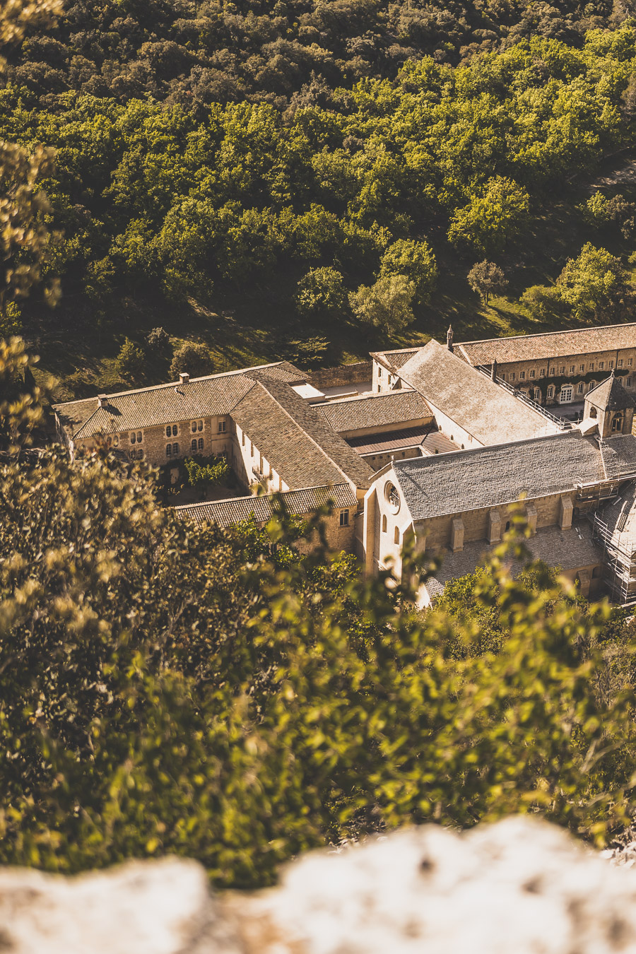 Abbaye de Sénanque dans le Vaucluse