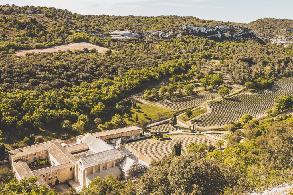 Abbaye de Sénanque dans le Vaucluse