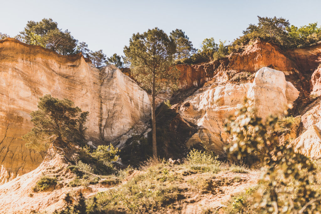 Colorado provençal