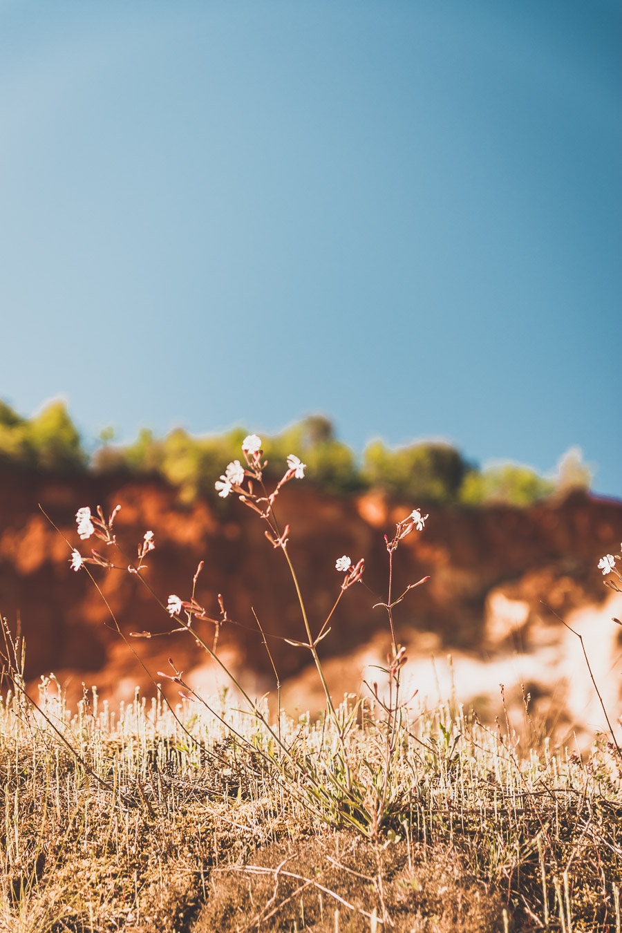 Colorado provençal