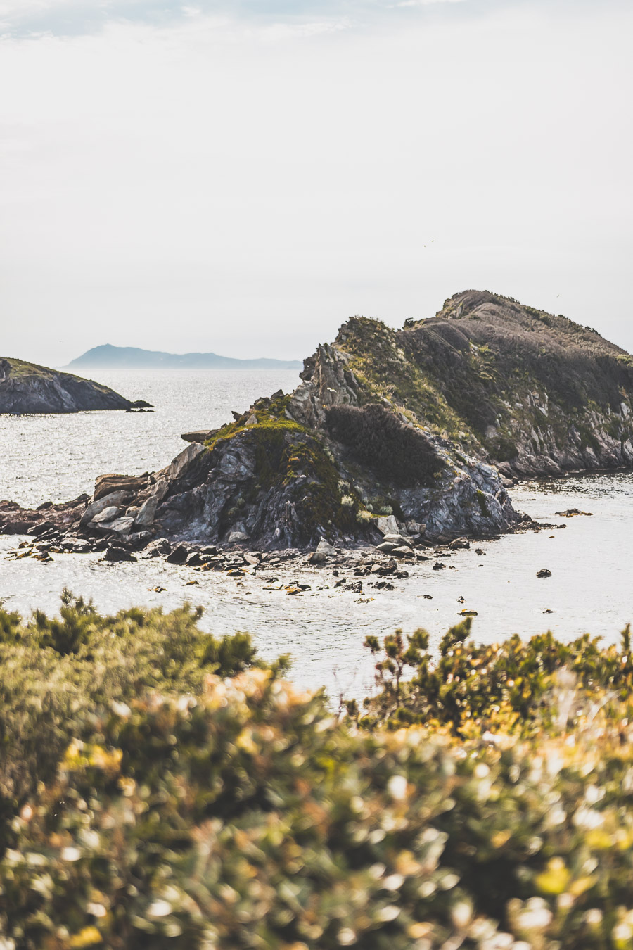 Presqu'île de Giens