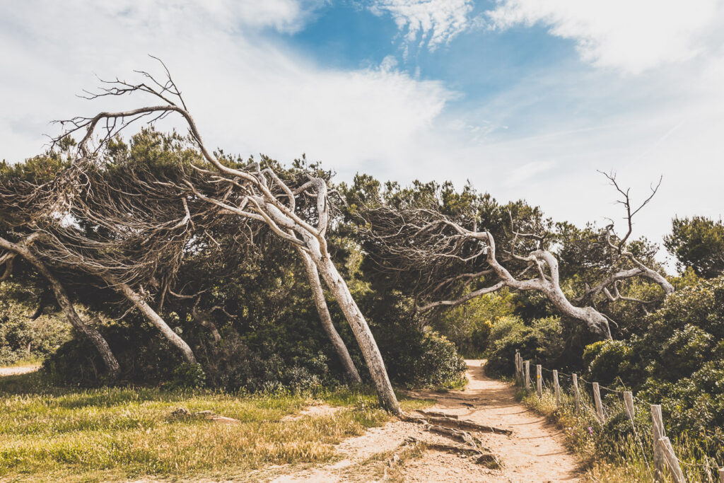 Que faire dans le Var ?